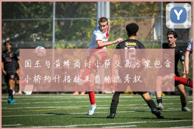国王与黄蜂商讨小萨交易方案包含小桥约什格林及首轮选秀权