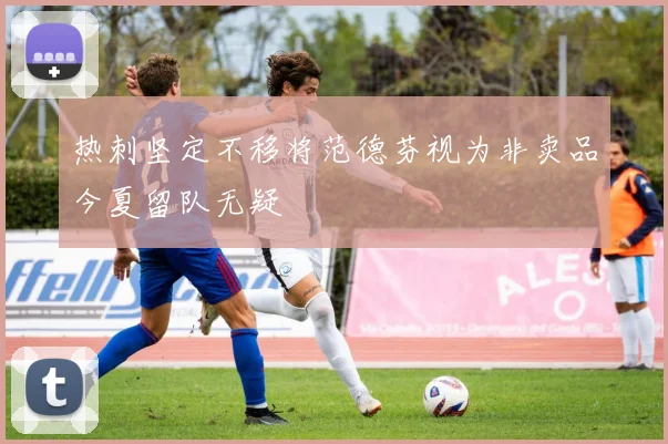热刺坚定不移将范德芬视为非卖品今夏留队无疑